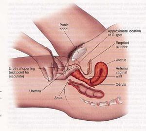 Klitoris richtig stimulieren